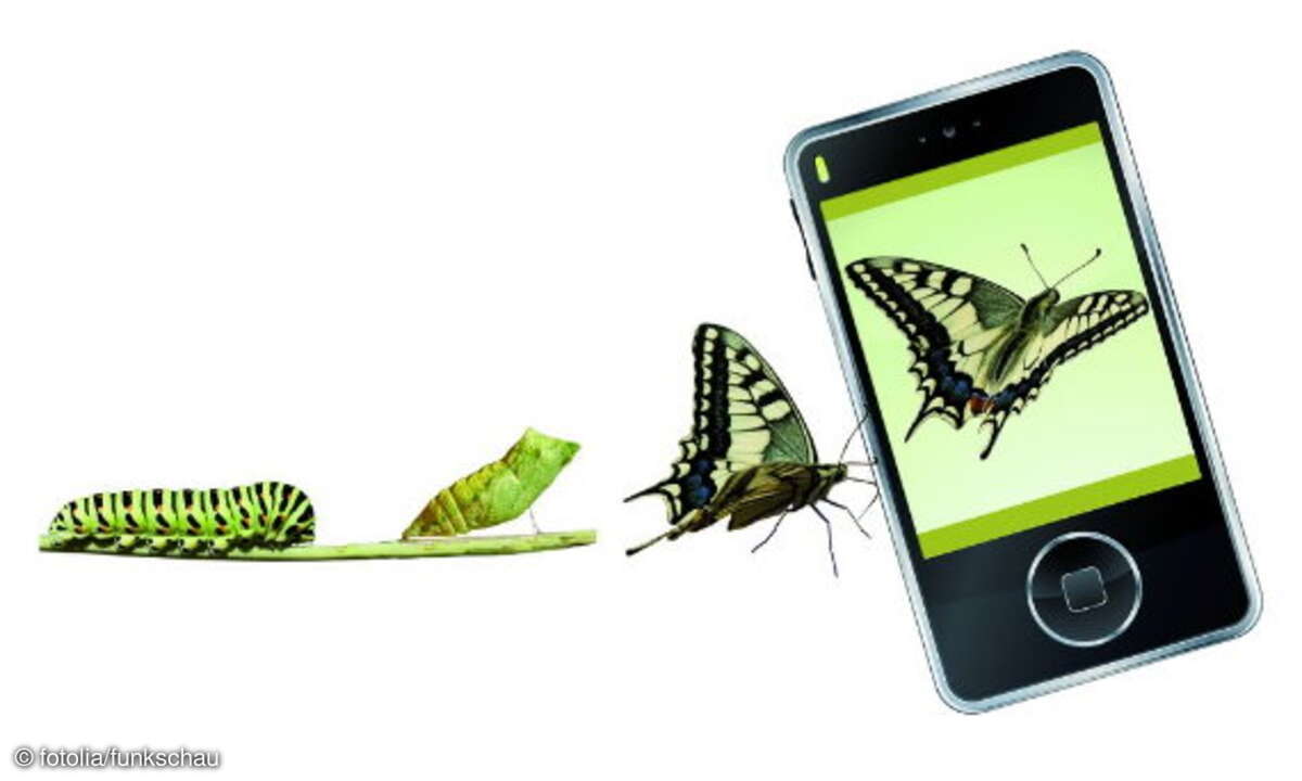 Transformationen im TK-Markt