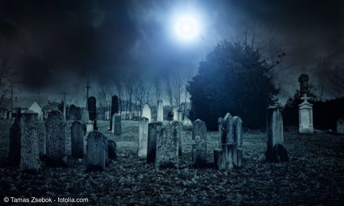 Tamas Zsebok - fotolia.com