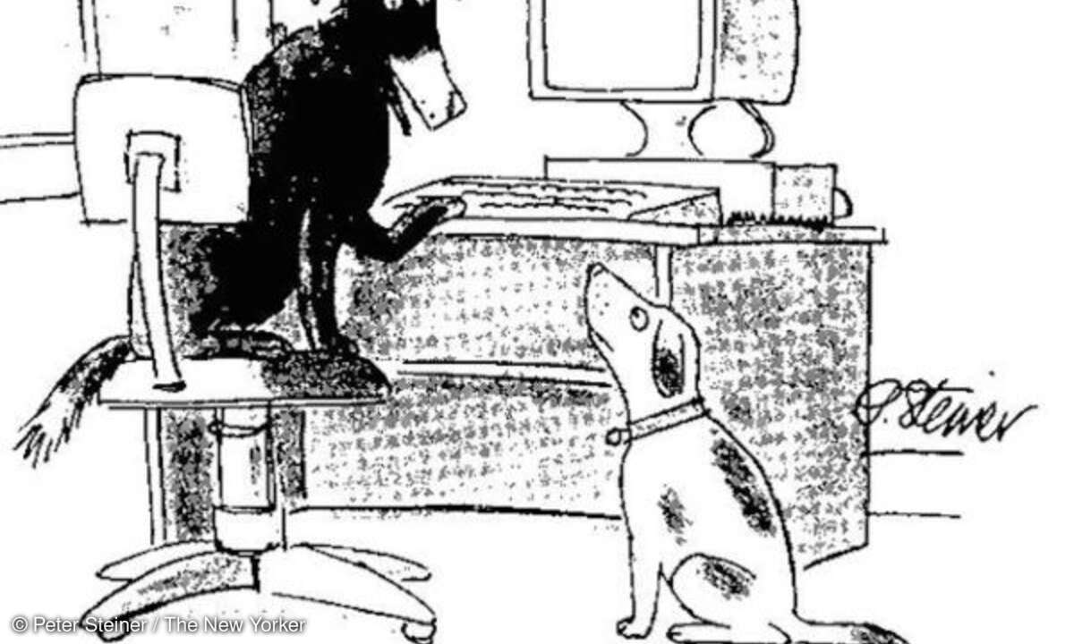 Im Internet weiß niemand, dass du ein Hund bist
