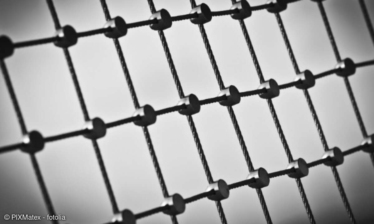 Netz