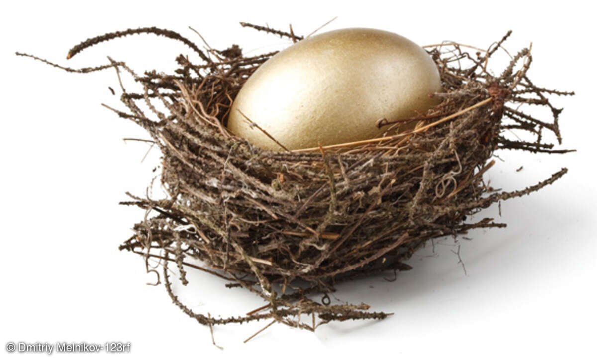 Goldenes Ei im Nest