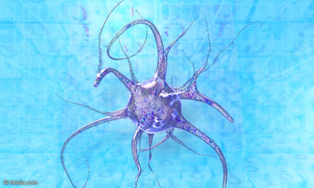 Synapse, Neuron