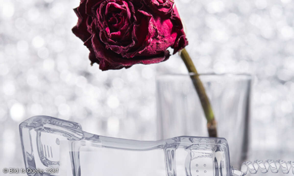 Rose & Telefon