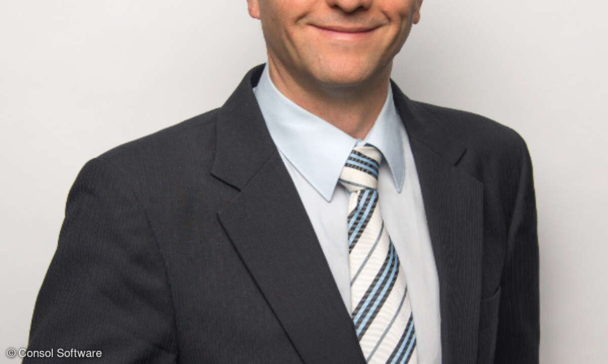 Wolfgang Klimt, Consol Software