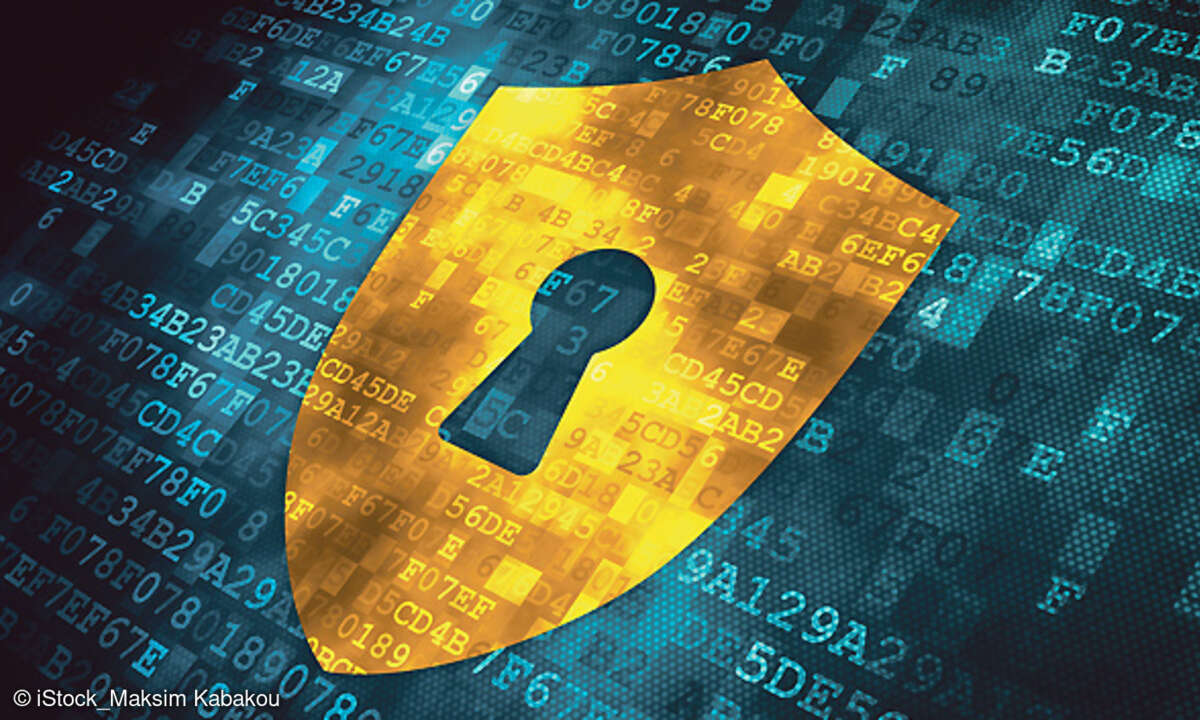 Schutzschild, Cybersecurity