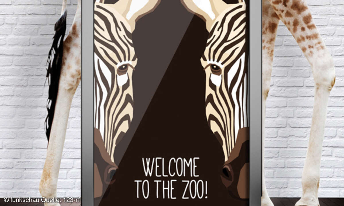 Zoo
