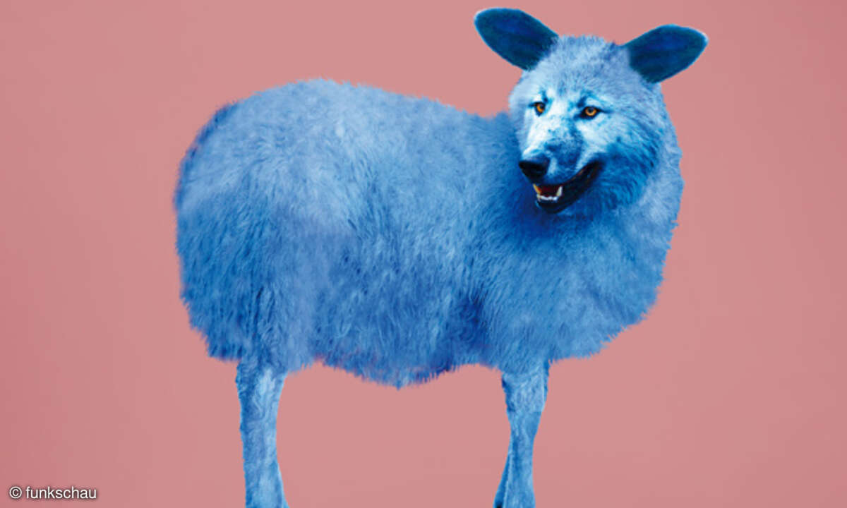 Wolf im Schafspelz