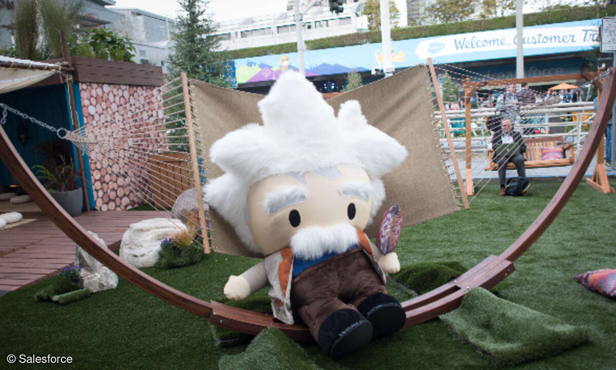 Salesforce Einstein Maskottchen