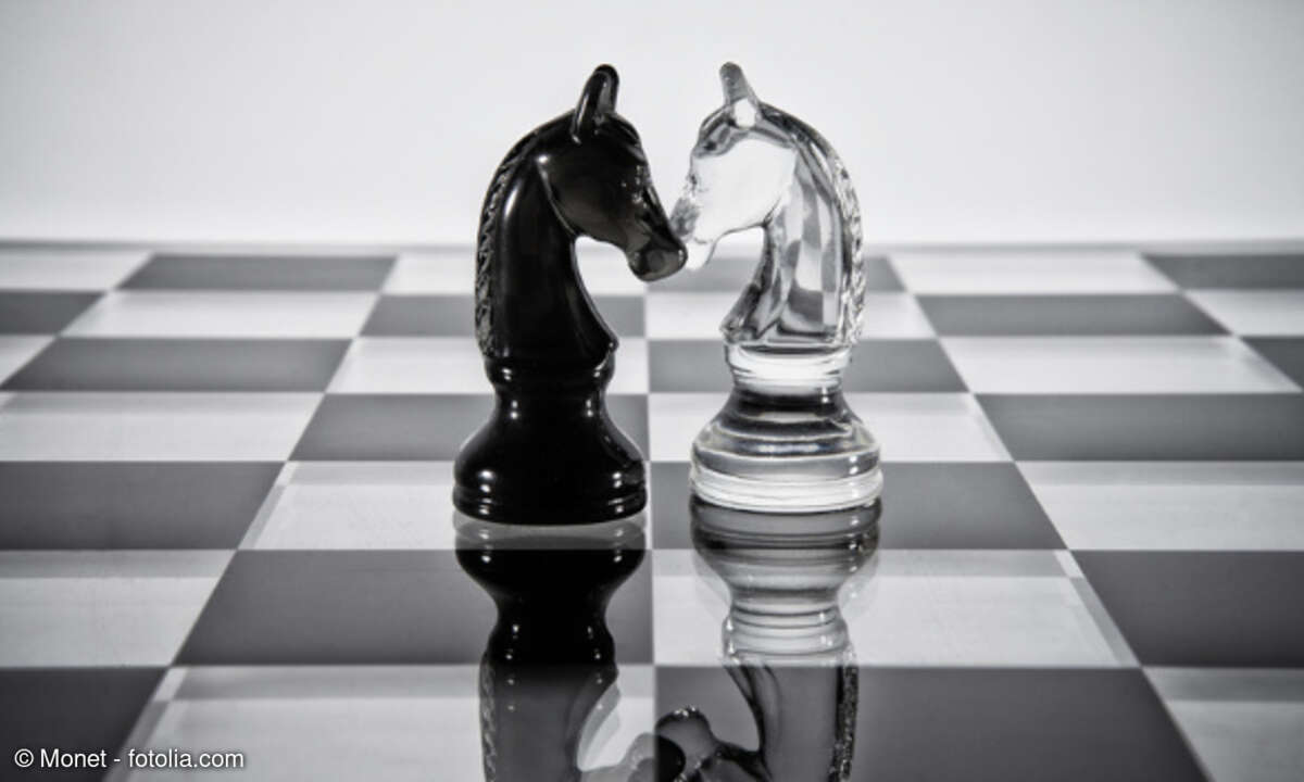Schach Pferde