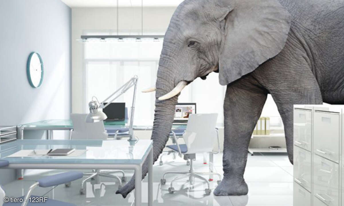Elefant im Büro