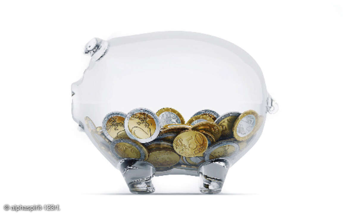 Sparschwein transparent
