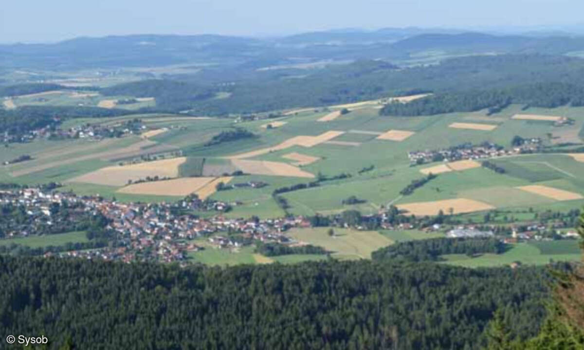 Ausblick
