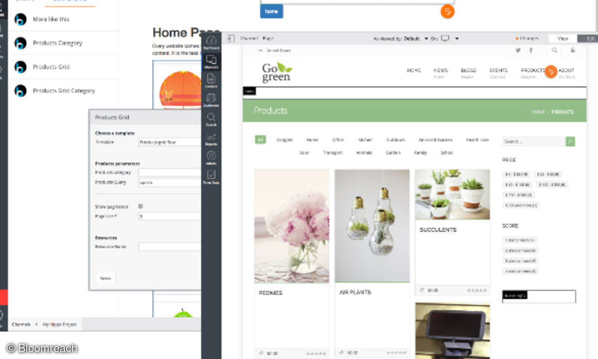 Bloomreach DXP