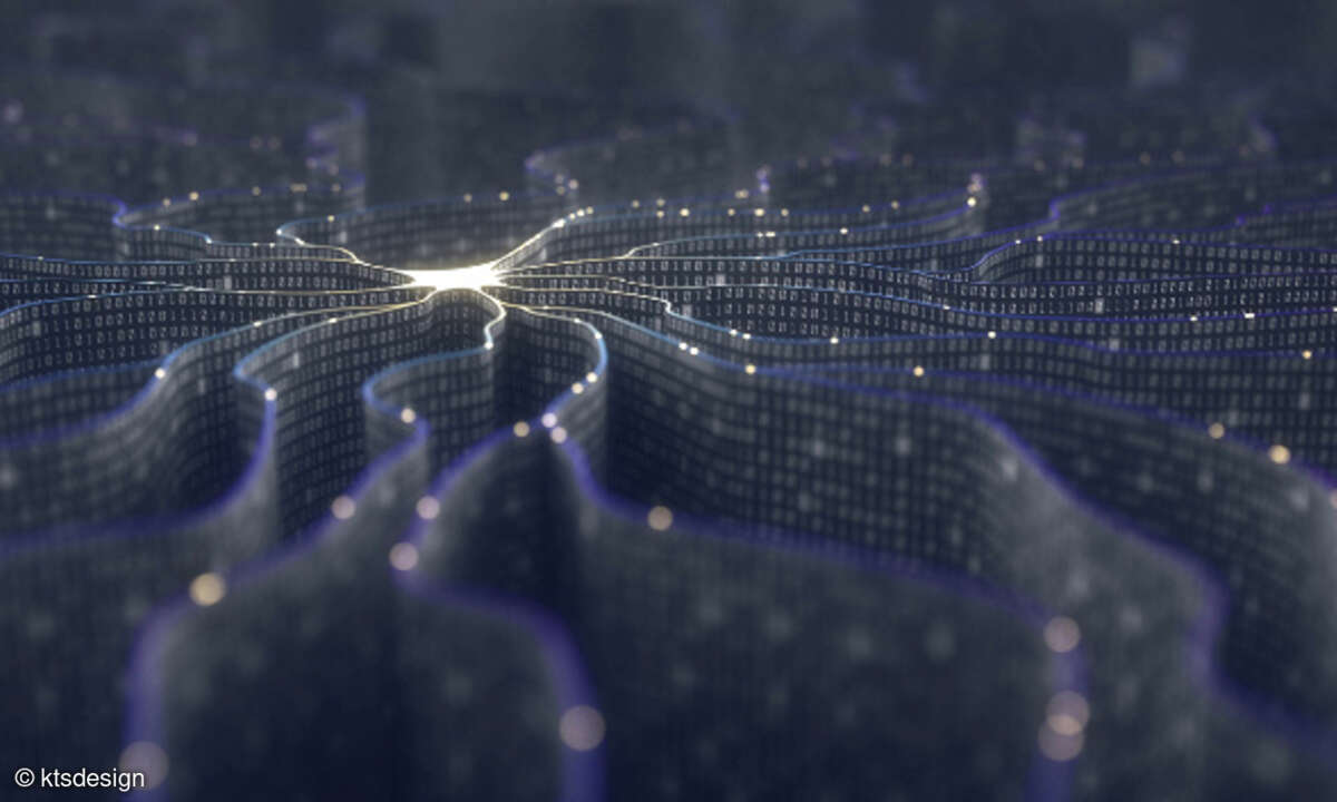Netzwerk, Intelligenz