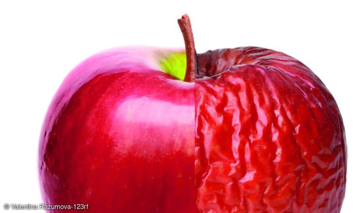 Apfel frisch vs. faul
