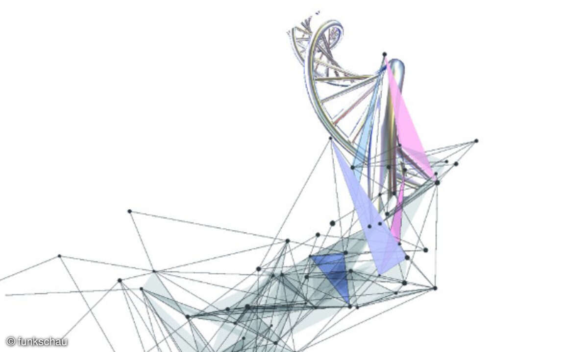 DNA, Evolution