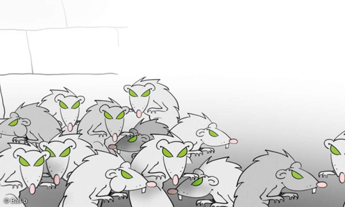 Rattengruppe