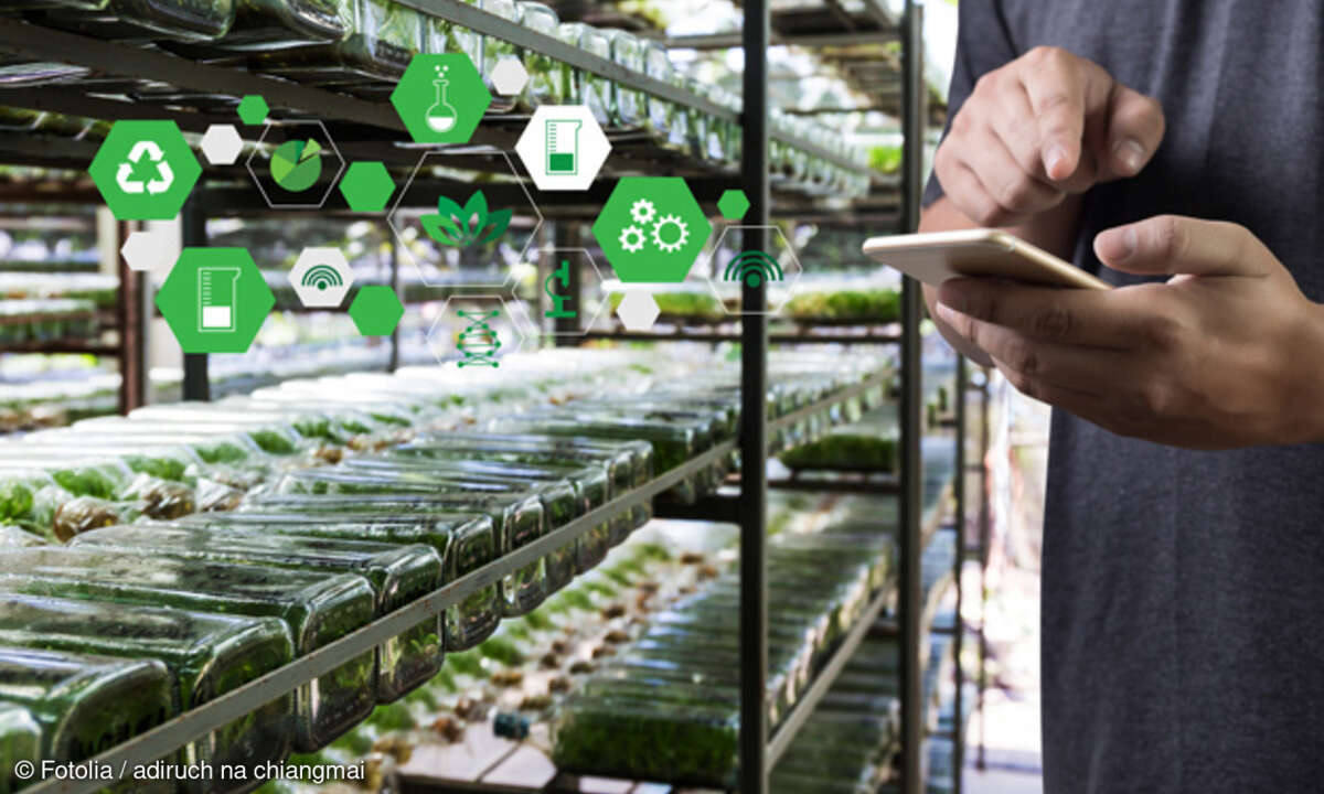 Smarte Anwendungen im Bereich des IoT bieten sich unter anderem in der Landwirtschaft.