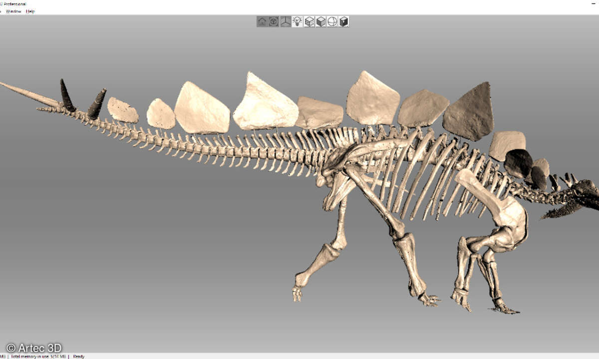 3D-Modell Stegosaurus