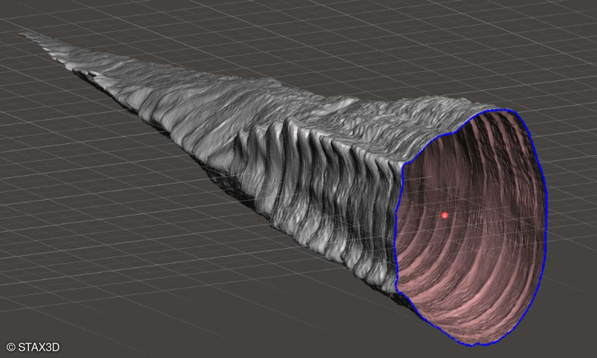 Schwanzprothese eines Alligators, 3D