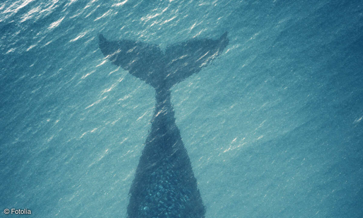 Wal Whaling
