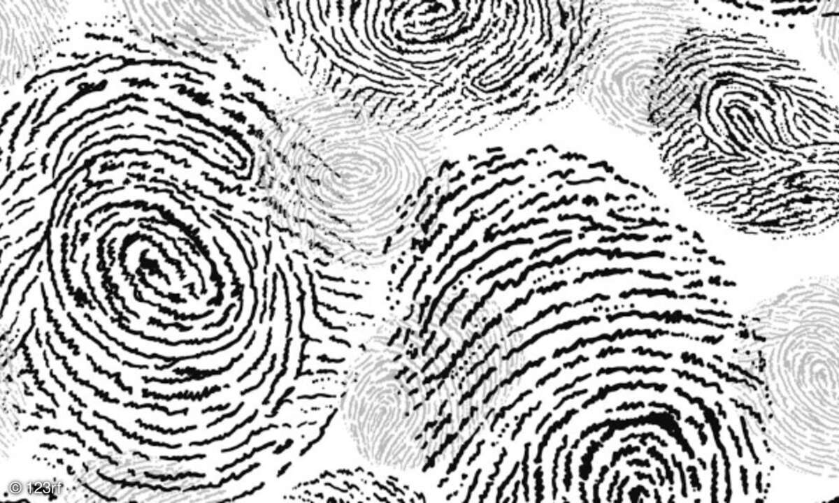 Fingerabdruck, Biometrie