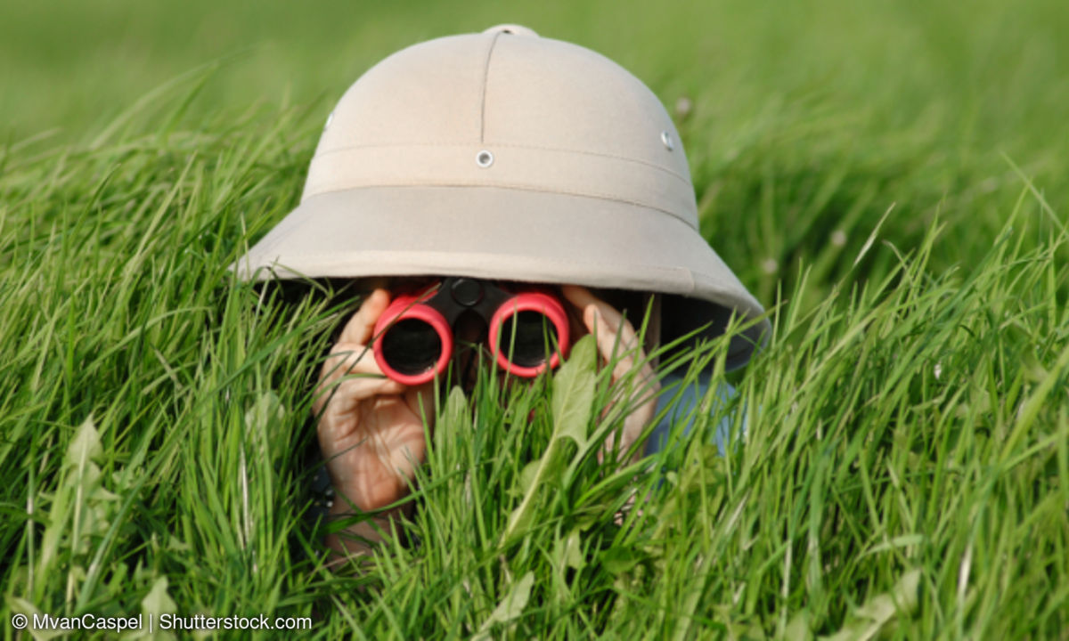Kleiner Junge mit Fernglas im hohen Gras.