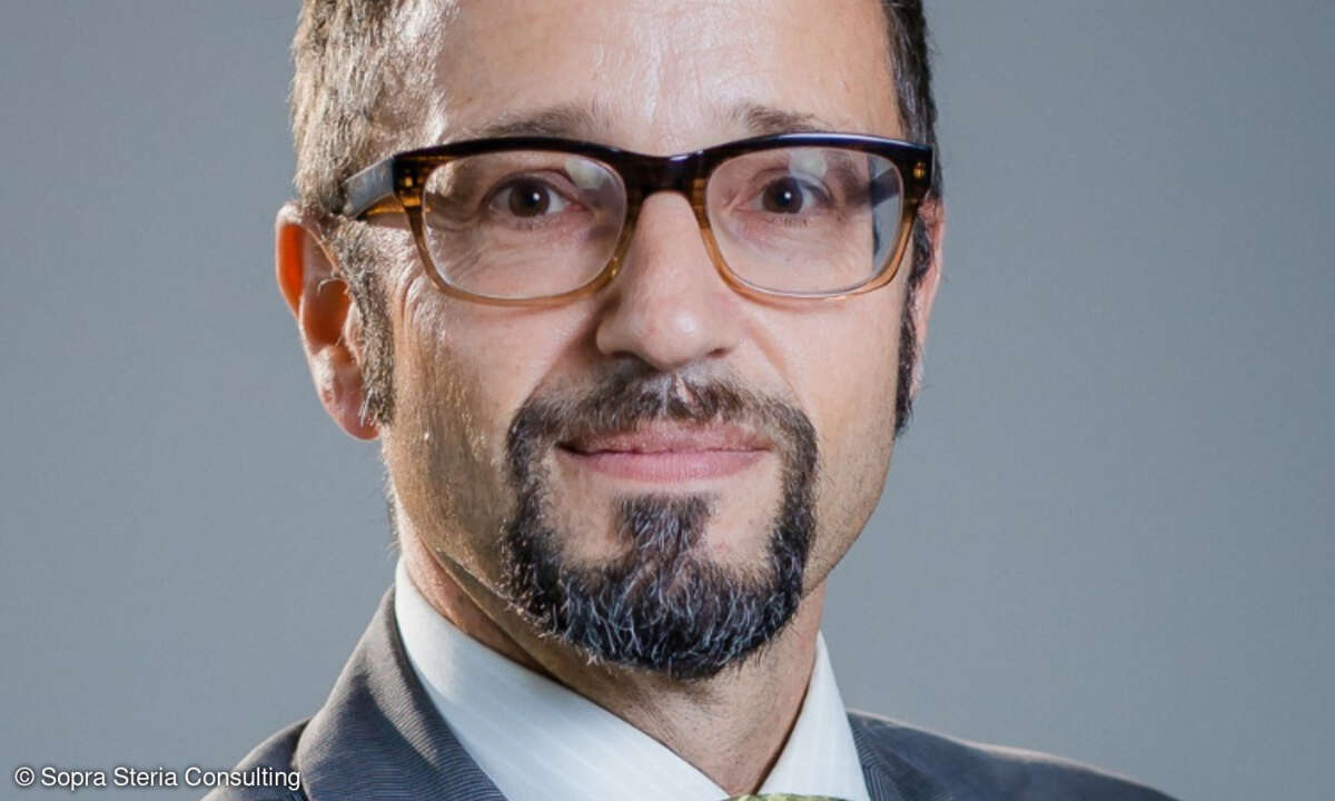 Almar Stenzel, Sopra Steria Consulting