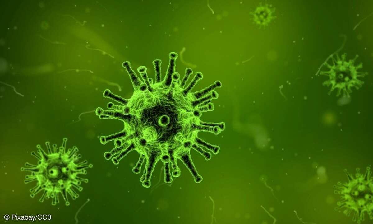 Coronavirus
