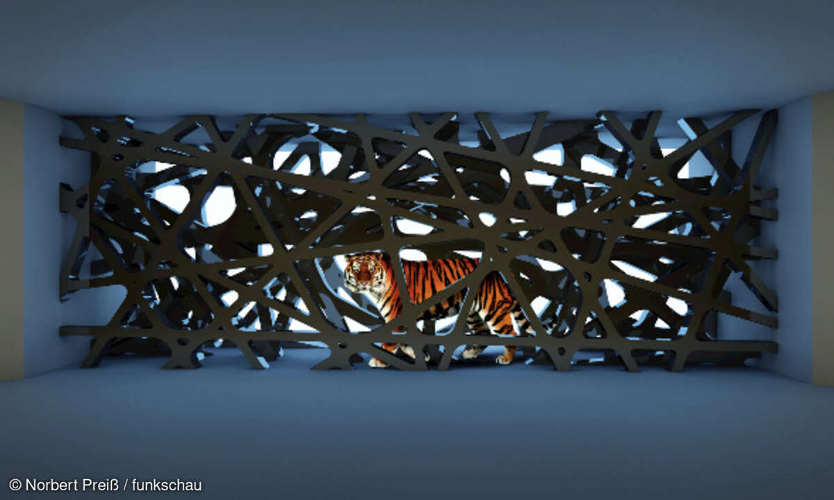 Tiger, Käfig