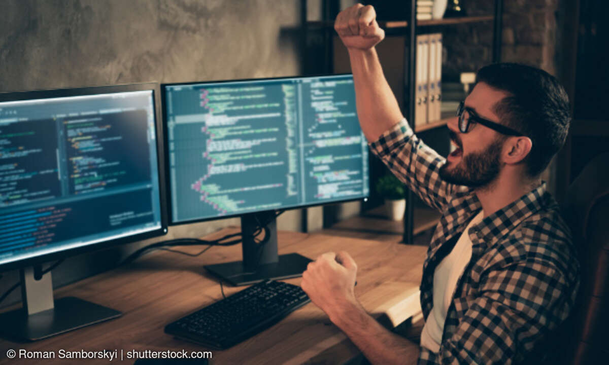Software Entwickler