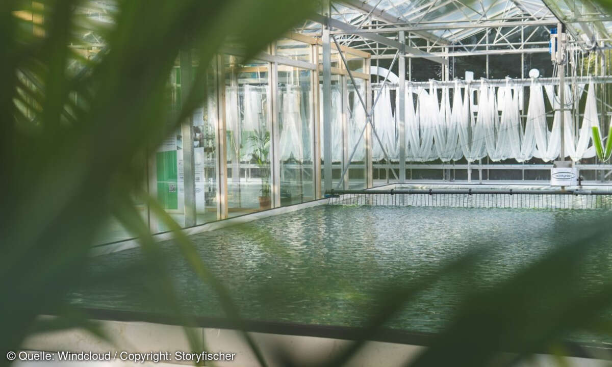 Windcloud Rechenzentrum CO2-frei Green IT Algenfarm