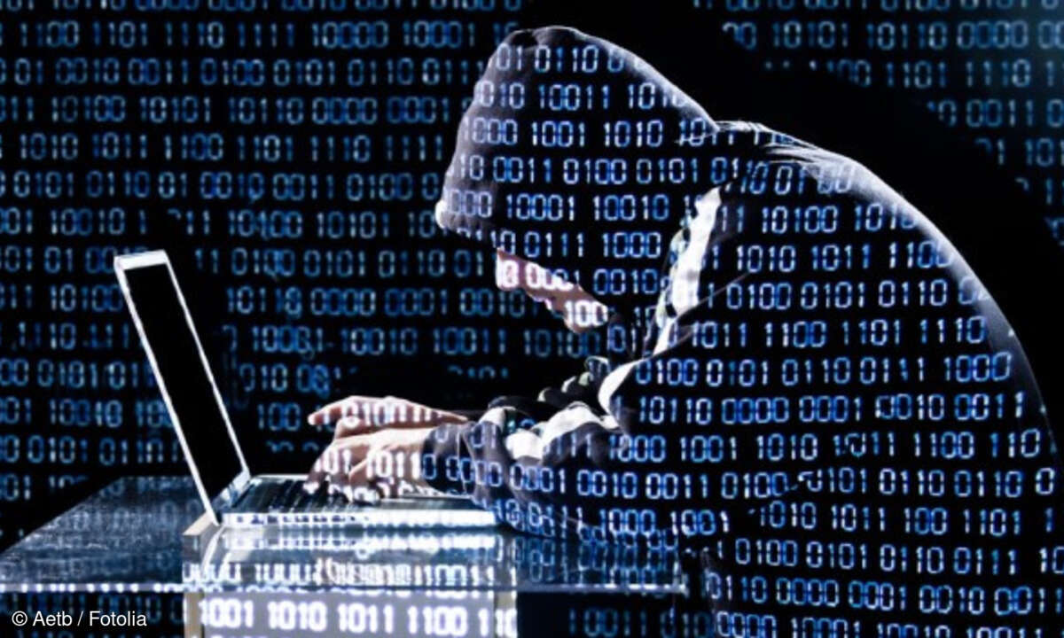 Hacker, Cyberkrimineller