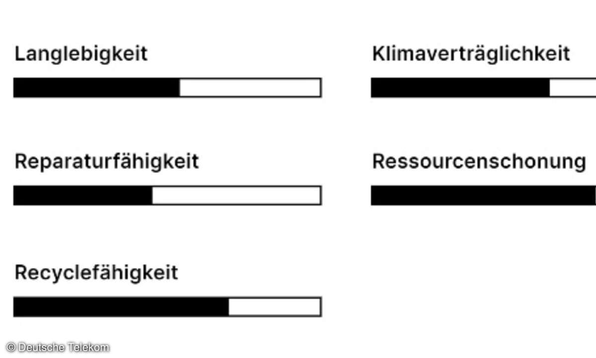 Beispiellabel Eco Rating, 2021