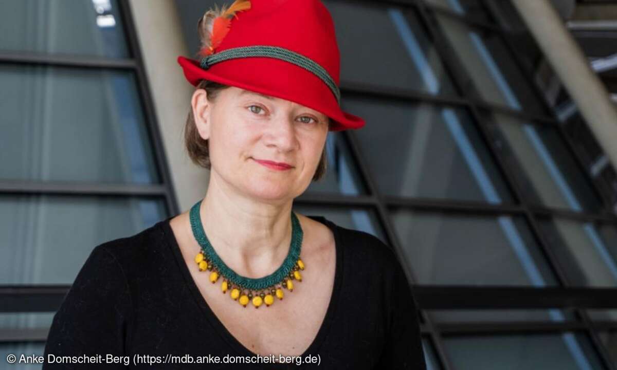Anke Domscheit-Berg, Die Linke