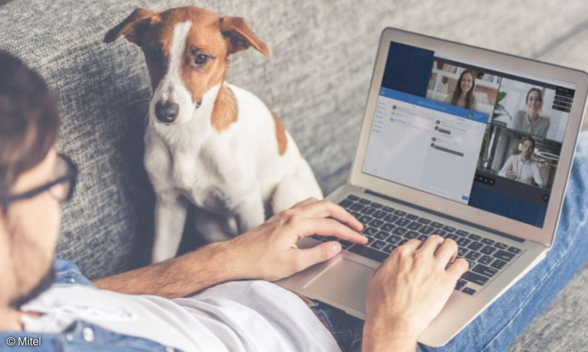 Mann arbeitet zuhause auf der Couch mit Laptop und Hund