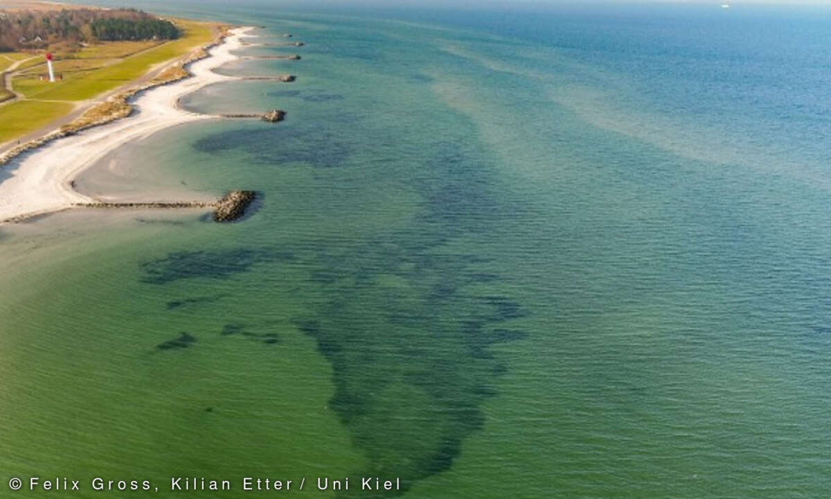 Seegraswiesen vor Heidkate
