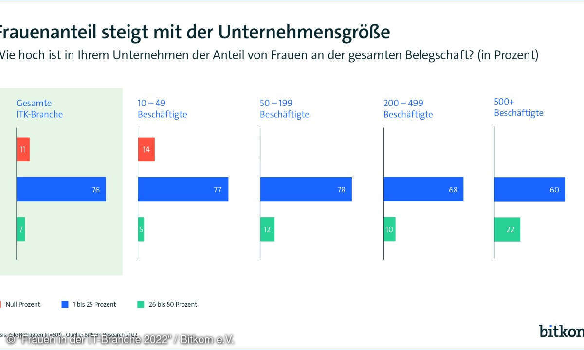 Frauen in der IT-Branche 2022