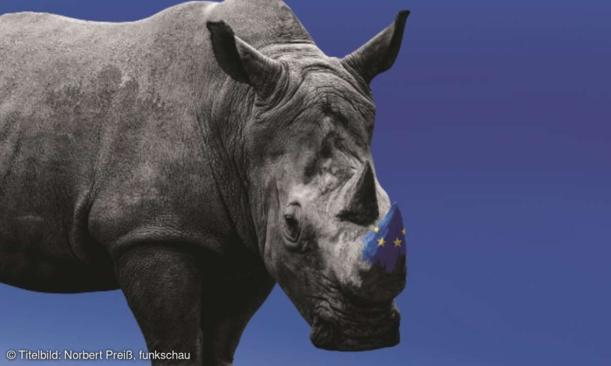 Nashorn, EU
