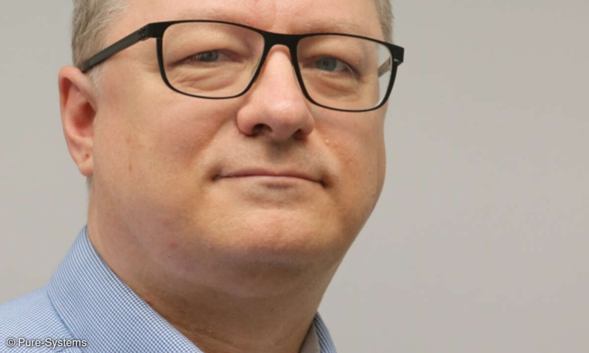 Danilo Beuche, Pure-Systems