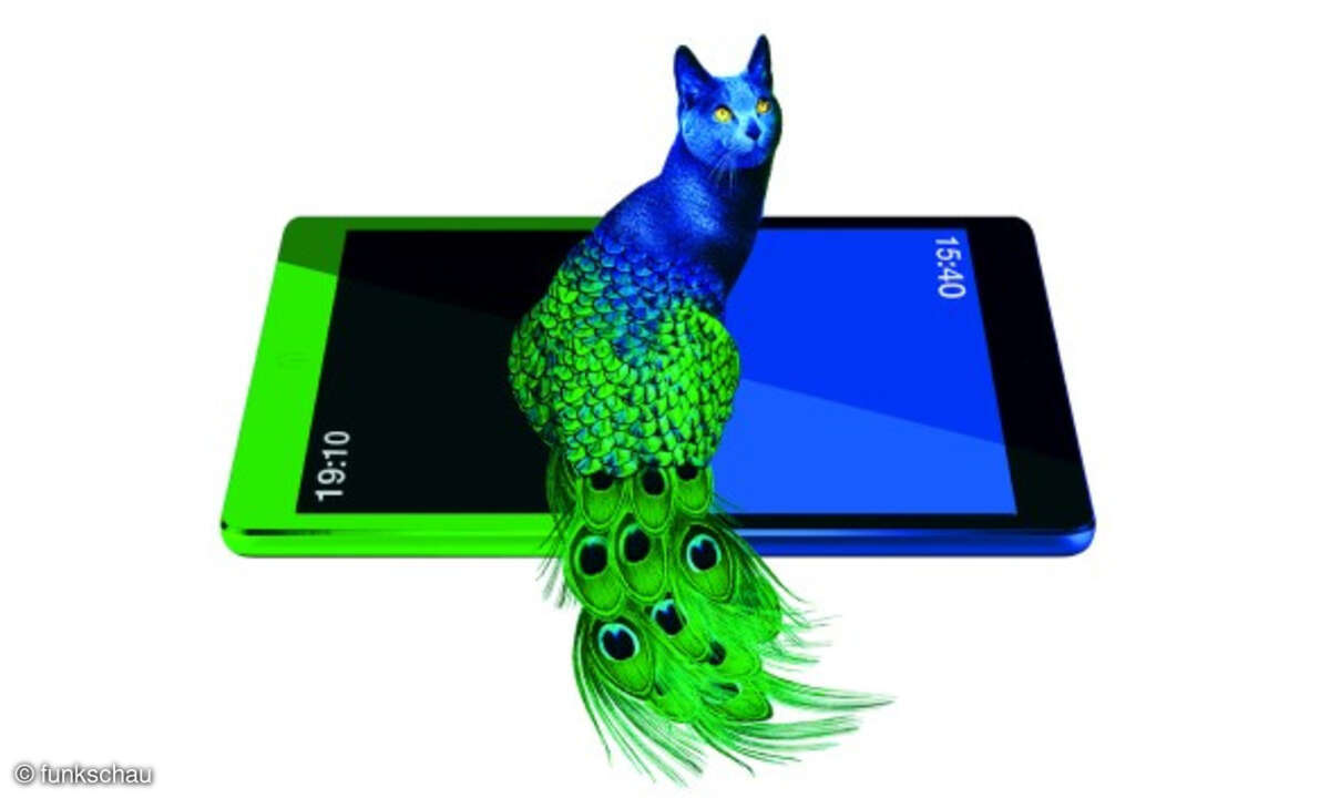Pfau Katze hybrid auf tablet