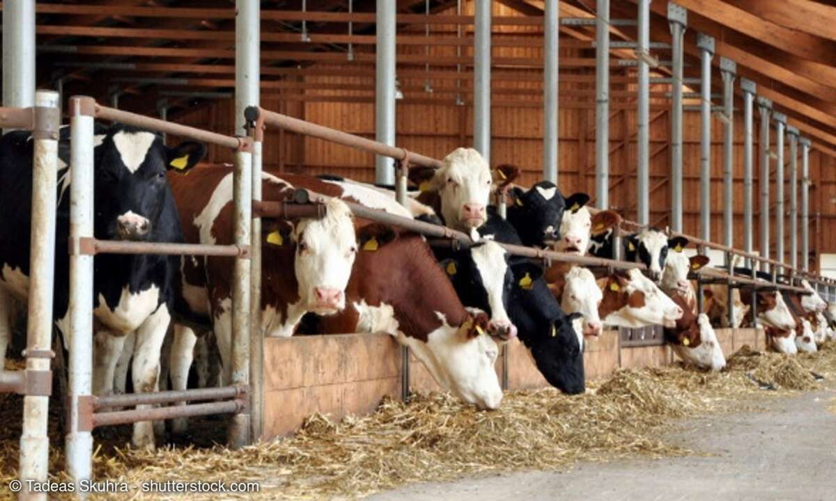 Schmuckbild Landwirtschaft