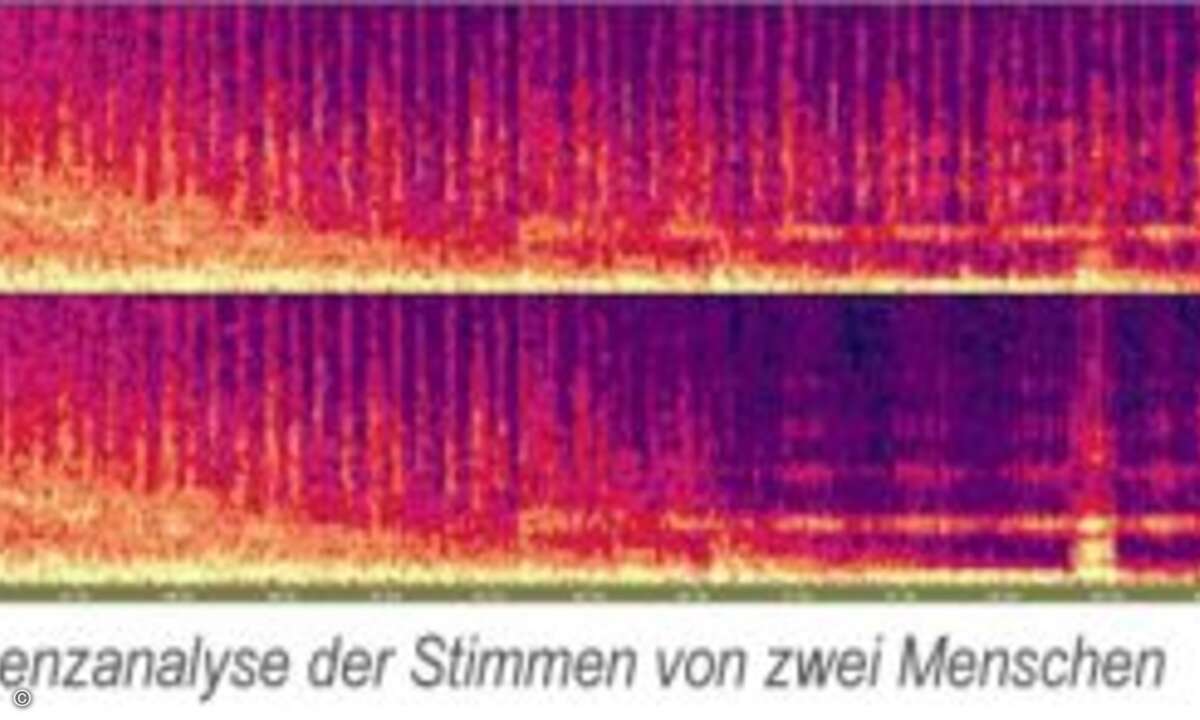 Nachteil: Für ein akzeptables Sicherheitsniveau ist hoher Einlernaufwand erforderlich. (Bilder: Voicetrust)