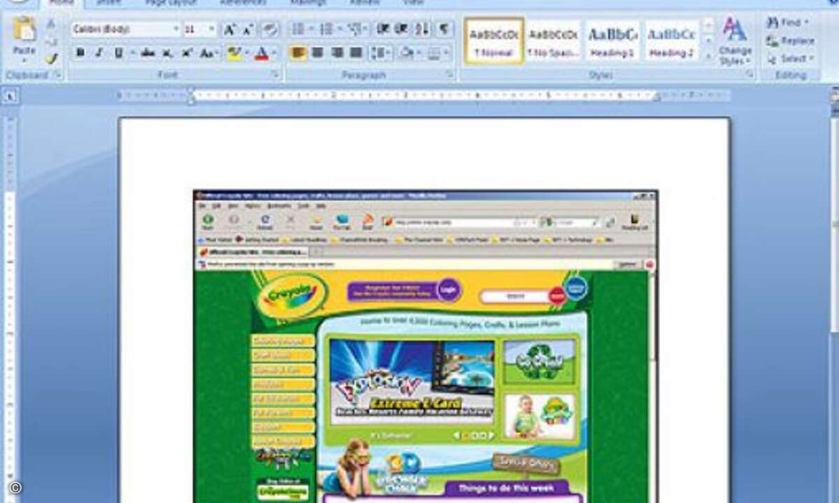 Screengrab: Mit Screengrab lassen sich Web-Seiten oder Ausschnitte davon als Bilder speichern. Das funktioniert übrigens auch mit Flash-Animationen.