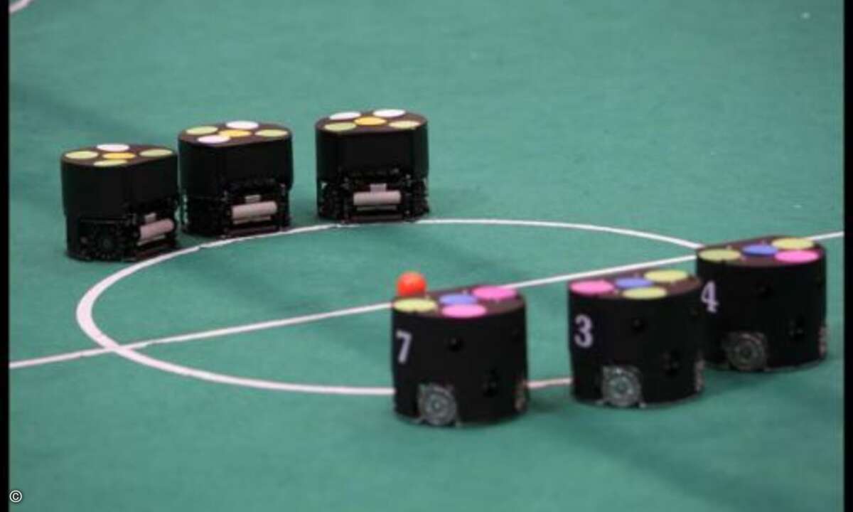 Die Mini-Ballacks: Das Runde muss ins Eckige - nur welches Runde?