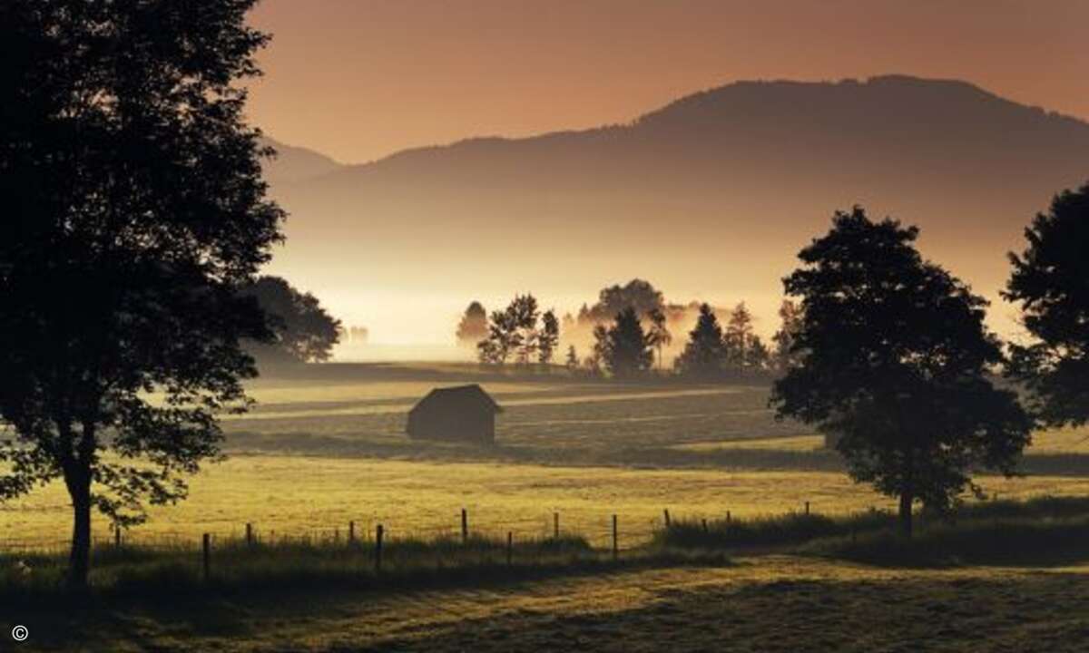 Dunst über dem Moor bei Großweil