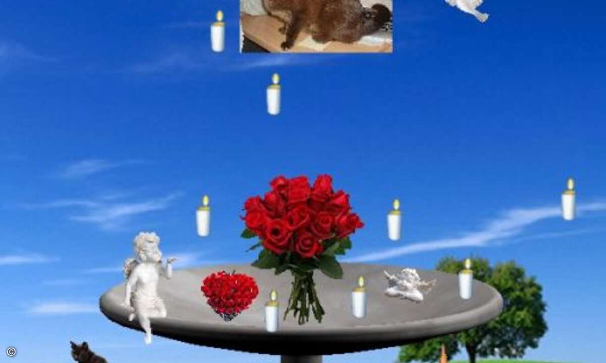 Was Frauchen und Herrchen recht ist, darf den vielen Spatzis, Bellos und Pinky nur billig sein. Auch Zwerghase, Edel-Pudel und Kampfhamster haben Anspruch auf eine 1a-Online-Bestattung. Für sie sind die »Trostseiten« von Tier TV, Quietschie.de oder M