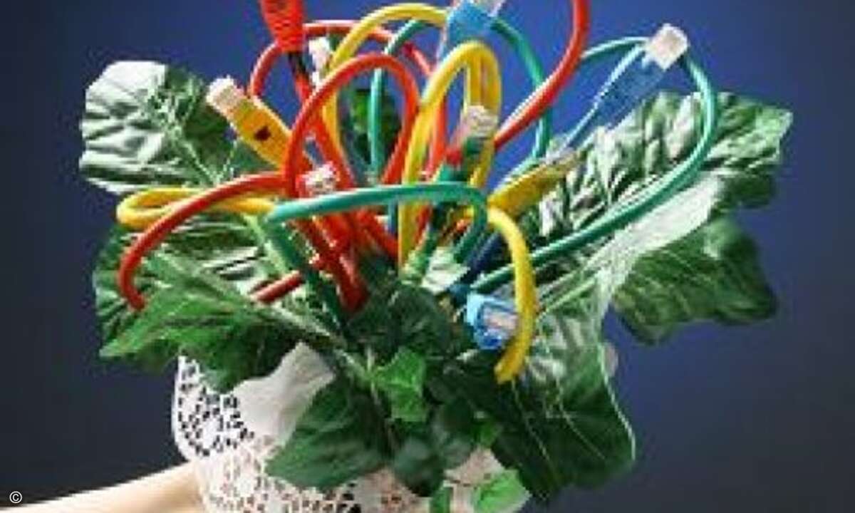 Weibliche Administratoren sind noch immer eine Selten- und Besonderheit, und haben daher auch besonders kreative Ideen verdient.