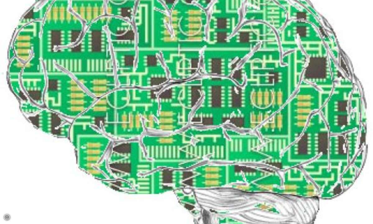 Das menschliche Gehirn schafft es immerhin circa vier Terabyte zu speichern, also rund 4096 GB. Dies entspricht der Datenmenge, die auf 935 DVDs Platz hat (http://costaweb.co.uk/costaweb.co.uk/Site%20Map/Useless%20Trivia/useless_trivia%20Science%20&%