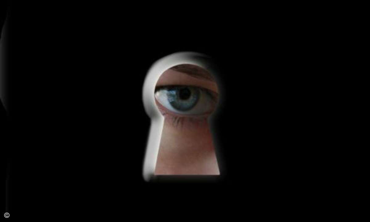 Der Spyware-Anteil ist von allen Malware-Kategorien am stärksten gewachsen und kommt auf einen Anteil von 12,8 Prozent. Foto: Evgeniya Ponomareva/Fotolia